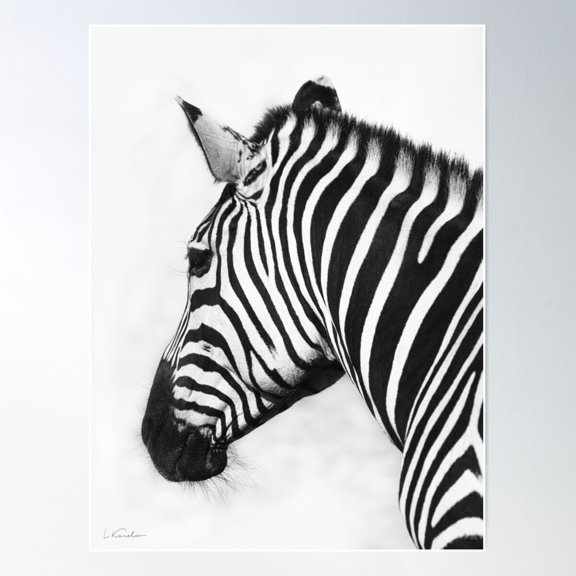 Zebra Poster Wall Art, Modern Wall Decor For Living Room Bedroom, 8x12 UNFRAMED