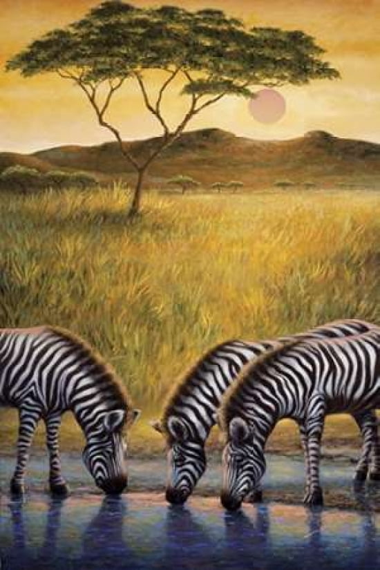 Zebra Respite Canvas Art - Sambataro (12 x 18)