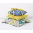 thumbnail image 1 of Zebra Romp Pillow Pack, 1 of 1