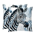 thumbnail image 1 of Zebra Set of 2 Velvet Throw Pillow Covers Inserts with 16x16, 18x18, 20x20 Inches Chair Pillow Covers - Unique Patterns for Throw Pillows for Various Occasions, 1 of 6