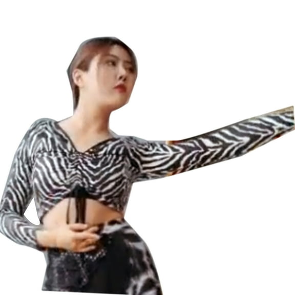 Zebra V Neck Drawstring Ruched Bust Running Gym Yoga Dance Crop Top With Long Sleeves