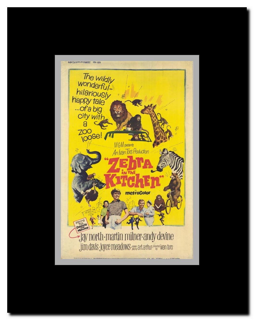Zebra in the Kitchen Framed Movie Poster