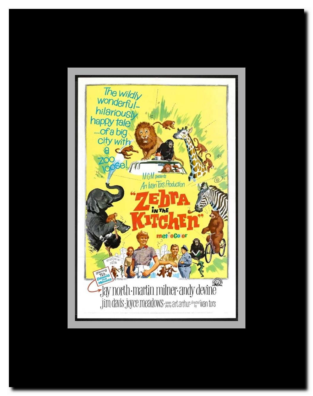 Zebra in the Kitchen Framed Movie Poster