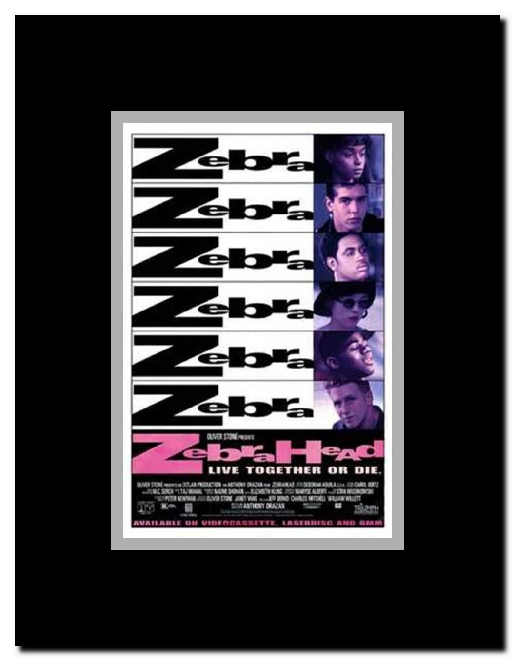 Zebrahead Framed Movie Poster
