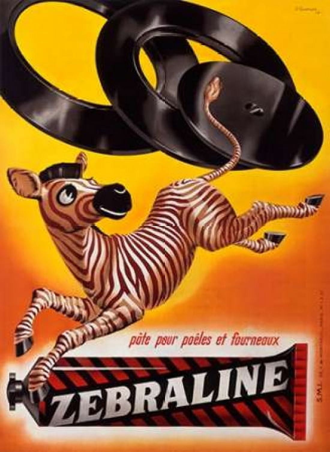 Zebraline Canvas Art - Gurtler (18 x 24)