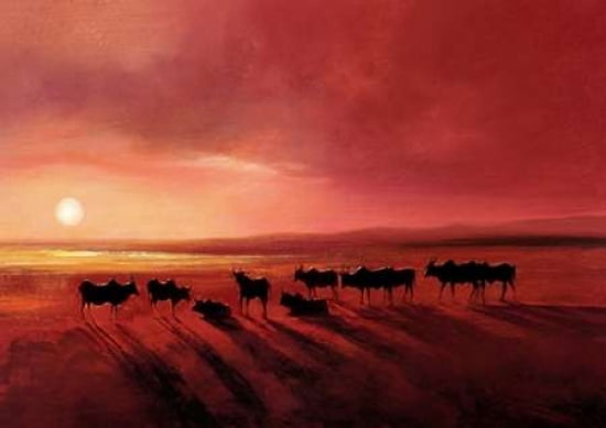 Zebu At Dusk Canvas Art - Jonathan Sanders (20 x 28)