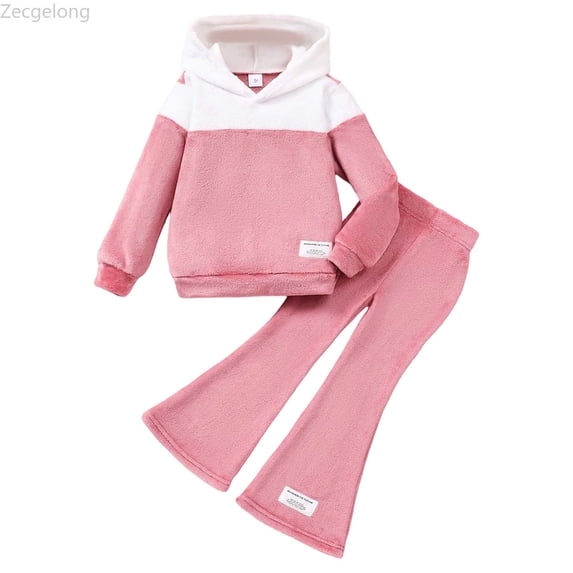 Zecgelong Girls Winter Outfit Soft Fleece Hooded Sweatshirt With Flare Leg Pants Two Piece Toddler Casual Playwear Girls 2 Piece Sets Age 3-4 Years