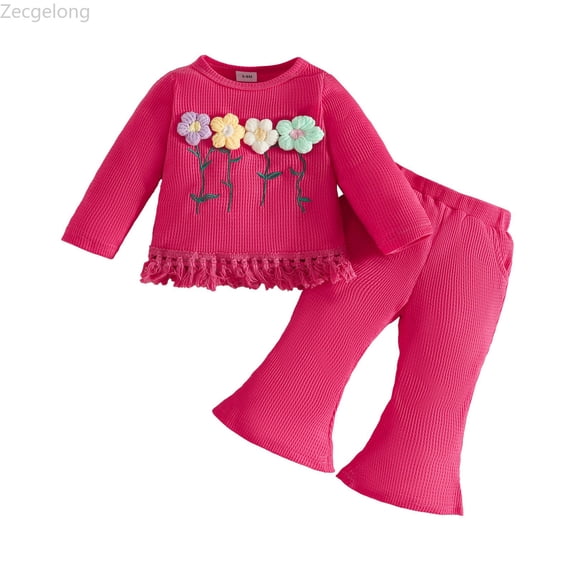 Zecgelong Toddler Girls Long Sleeve Floral T Shirt Tops Tassels Pants Outfits Girls Holiday Sets Age 9-12 Months