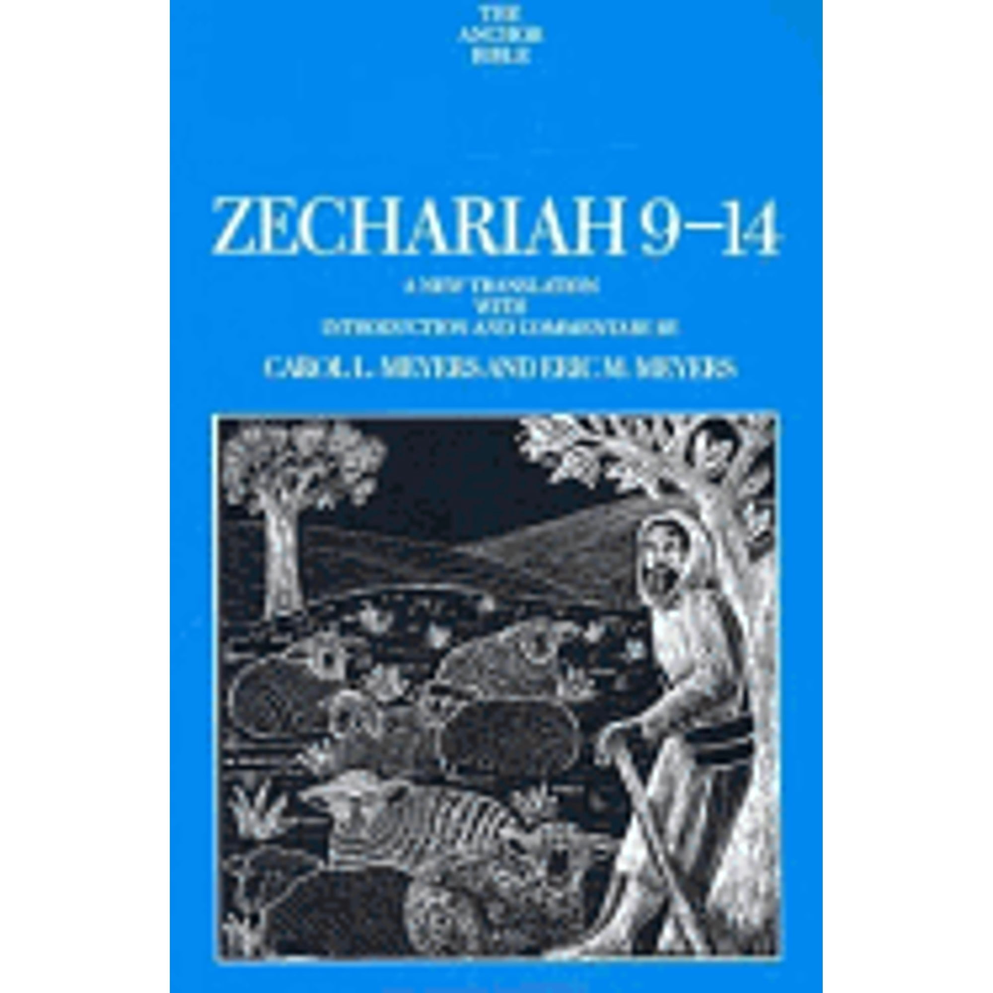 Pre-Owned Zechariah 9-14 (Anchor Bible) (Hardcover) 0385144830 ...