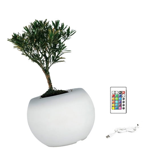 Zecic Smarted Color Shifts Planter Pot With LED Growing Light For Home Office