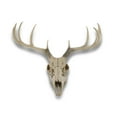 thumbnail image 1 of Zeckos 10 Point Buck Deer Skull Bust Wall Hanging, 1 of 3