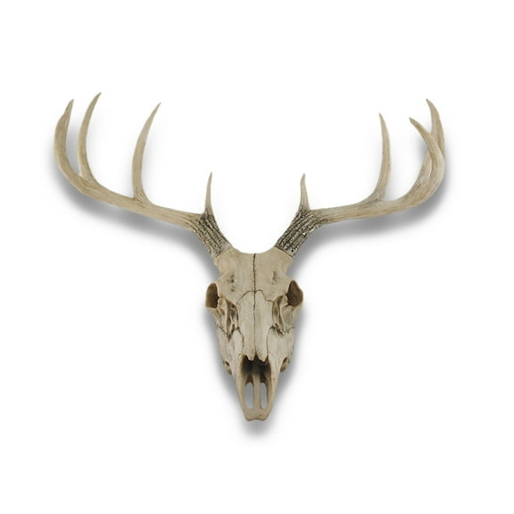Zeckos 10 Point Buck Deer Skull Bust Wall Hanging