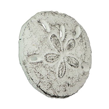 5-Pack Sand Dollar Drawer Pulls - Cast Iron Cabinet Knobs, Nautical Antique Green Finish