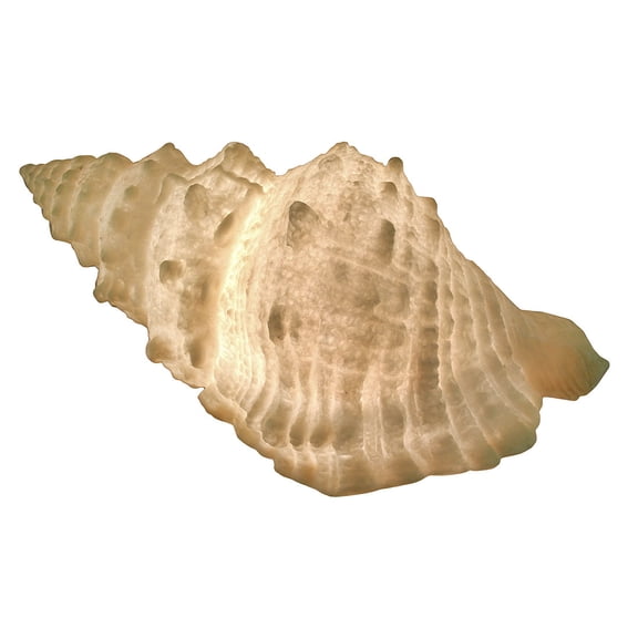 Zeckos Giant Off-White Decorative Horned Conch Shell Accent Lamp 17 in.