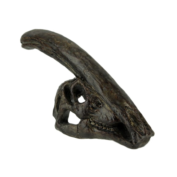 Zeckos 8 in Parasaurolophus Dinosaur Skull Fossil Resin Statue Home Office Decor
