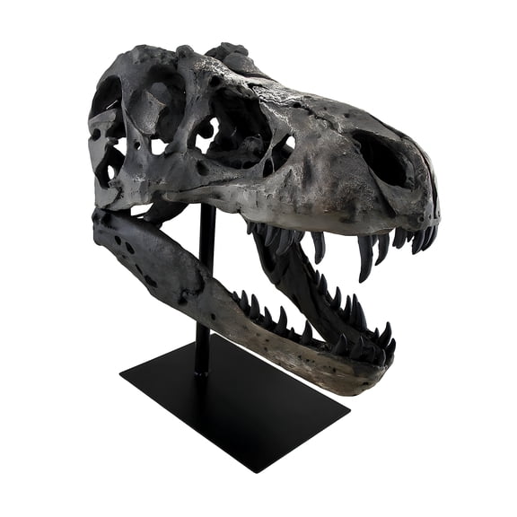 Zeckos Tyrannosaurus Rex Replica Fossil Skull Statue On Museum Mount T-Rex
