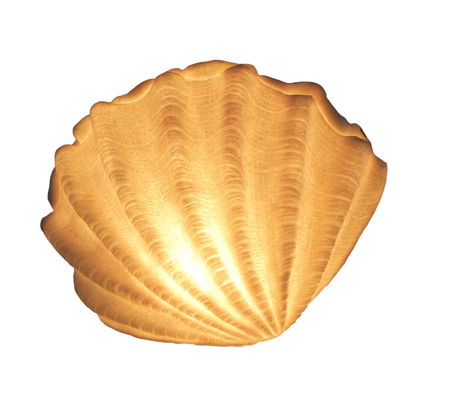 White Sandstone Finish Scallop Shell Coastal Accent Lamp