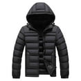 thumbnail image 1 of Zedker Fall and Winter Thicken Inner Fleece Thermal Mens Puffer Jackets with Pockets Casual Hooded Long Sleeve Loose Zipper Coats,Black,L, 1 of 8