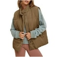 thumbnail image 1 of Zedker Vests Women Sleeveless Oversized Puffer Winter Warm Coat Stand Collar Zip Up Quilted Lightweigh with Pockets Casual Outerwear Brown Plus M, 1 of 6