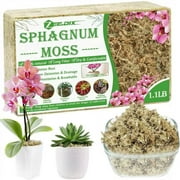 ZeeDix 1.1LBS Premium Sphagnum Moss for Plants, 25QT Natural Long Fibered Orchid Moss Sphagnum Peat Moss Bulk for Carnivorous,Orchid,Sarracenia,Succulent,Venus Fly Traps and Reptiles