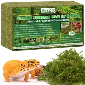 ZeeDix 50QT Sphagnum Moss for Reptile (Leopards, Geckos, Snakes, Turtles, Frogs), Reptile Moss Bedding for Terrarium Plants, Long Fiber Reptile Moss (2.2LBS Green Natural Sphagnum Moss)