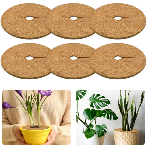 ZeeDix 6 Pcs Coconut Fibers Mulch Ring Tree Protector Mat,11.8 Inch 100% Natural Coco Coir Tree Protection,Tree Ring Mats Tree Disc Plant Cover for Indoor or Outdoor