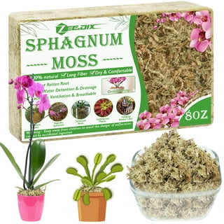 Long Fiber Sphagnum Moss