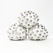 Zeekio Bad Ass Juggling Ball - Metal Studs on Eight Hand Sewn Panels White, Set of 3