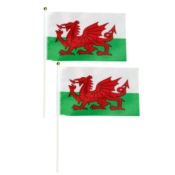 Zehuanyu 10 Pcs International World Stick Flag Mini Polyester Flags