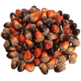 thumbnail image 1 of Zehuanyu 100 Pcs Acorn Tops for Crafts Holiday Decorations Delicate Ornaments 3X1.9CM, 1 of 8