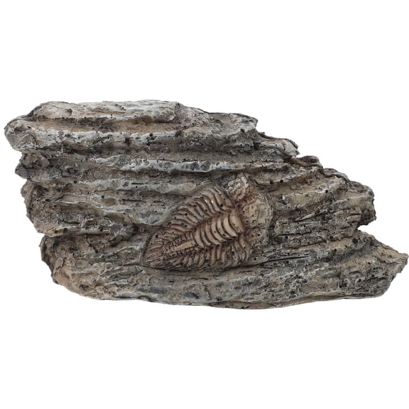 Trilobite Specimen for Decor Made of Resin Grey Color Suitable for Home Use 3 Inches