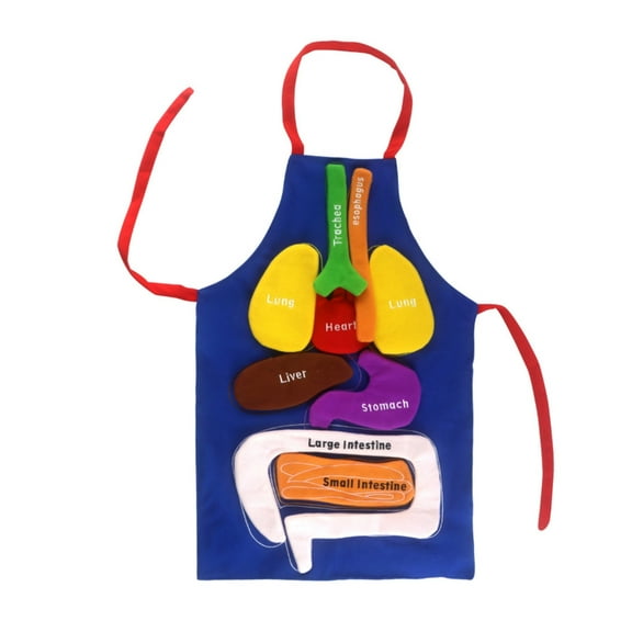 Zeiwohndc 3D Human Anatomy Organ Apron Puzzle Toy Child Educational Assembly Apron Toy