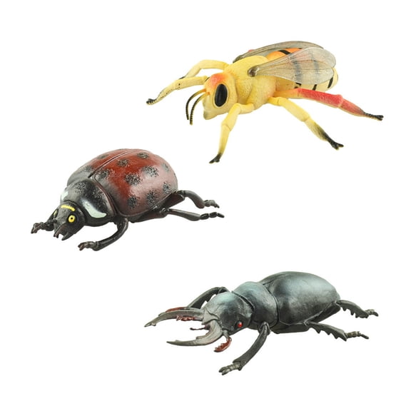 Zeiwohndc 3pcs Simulation Insect Model Figurine Educational Science Toy For Preschooler