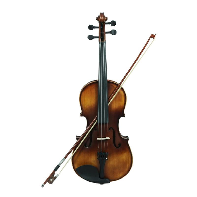Zeiwohndc 4/4 Viola Vintage Matte Viola with Bows Solid Wood Panel Acoustic Viola