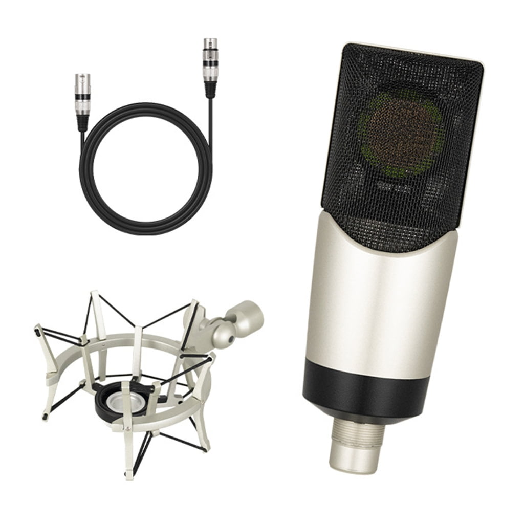 Zeiwohndc 48V Large Diaphragm Condenser Microphone Professional Broadcast Microphone