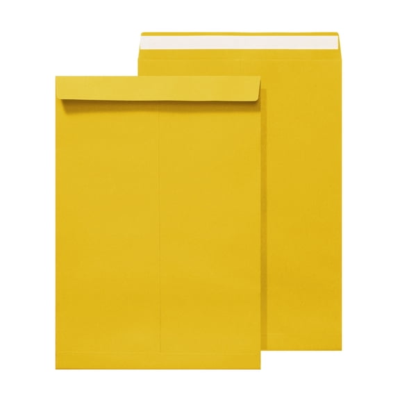 Zeiwohndc 50Pcs Envelopes 12.7x9Inch Mailing Envelope with Adhesive Closure