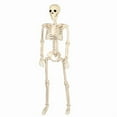 thumbnail image 1 of Zeiwohndc Ceiling Hanging Skeleton Life Size Human Body for Halloween Party Decoration, 1 of 14