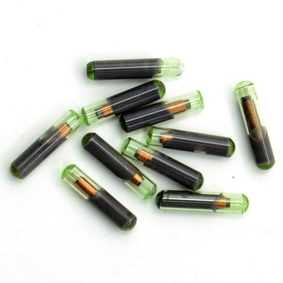 Zeiwohndc DIY Blank ID48 Chip Remote Maker Unlocker 10pcs/lot Transponder Chip