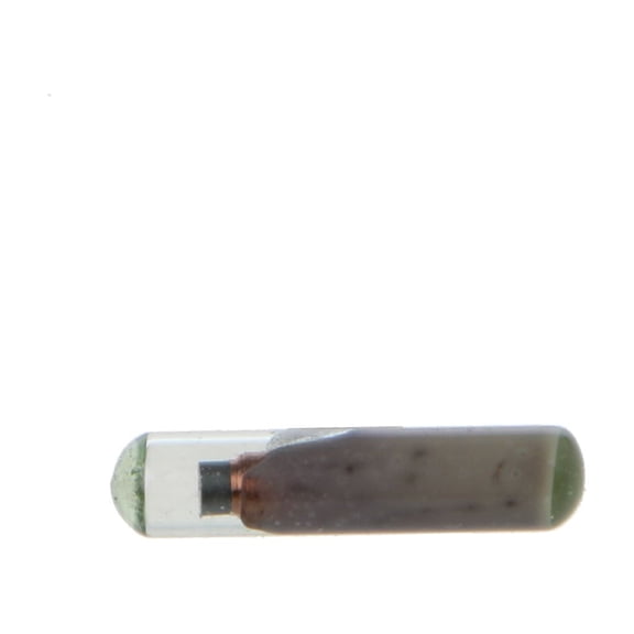 Zeiwohndc ID48 Chip Blank T6 Crypto Unlock Copy Car for Key Glass Transponder Chip