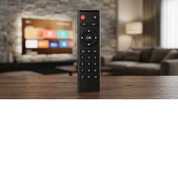 Zeiwohndc New Remote Controller For TV Boxes for Tanix W2 X4 TX3