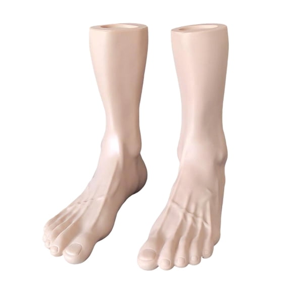 Zeiwohndc Realistic Men's 43 Foot Display Model for Art Anatomy Study Photography