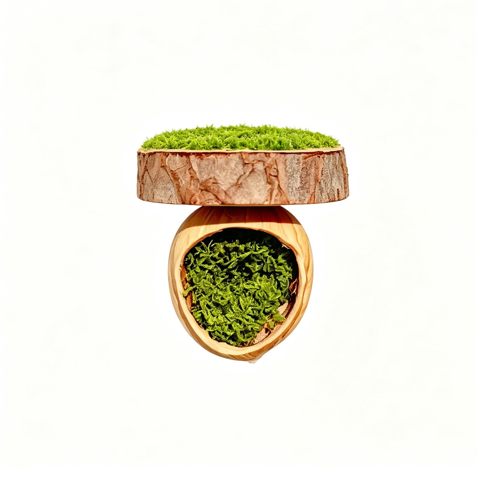 Zeiyignr Jumping Spider Hideout, Climbing Platform Accessories