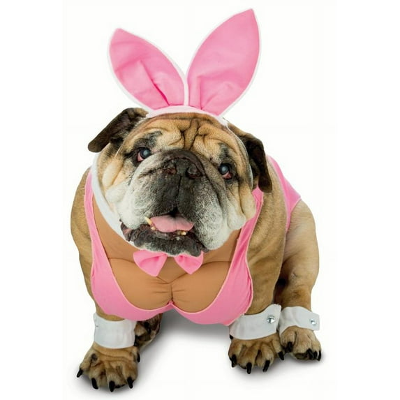 Zelda Hunny Bunny Pink Funny Playboy Bunny Dog Pet Halloween Costume