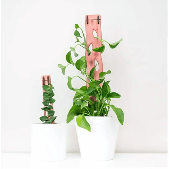 Zella - Wooden Extendable Plant Support