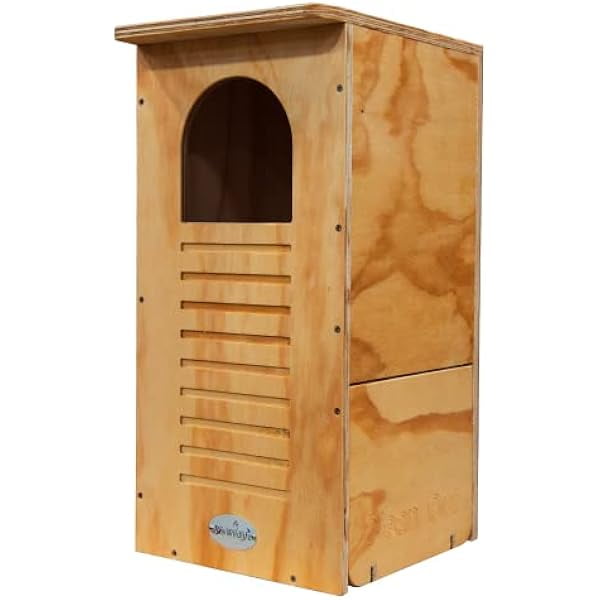 ZeloraGildan Barred Owl Box Do It Yourself Assembly Kit Treated
