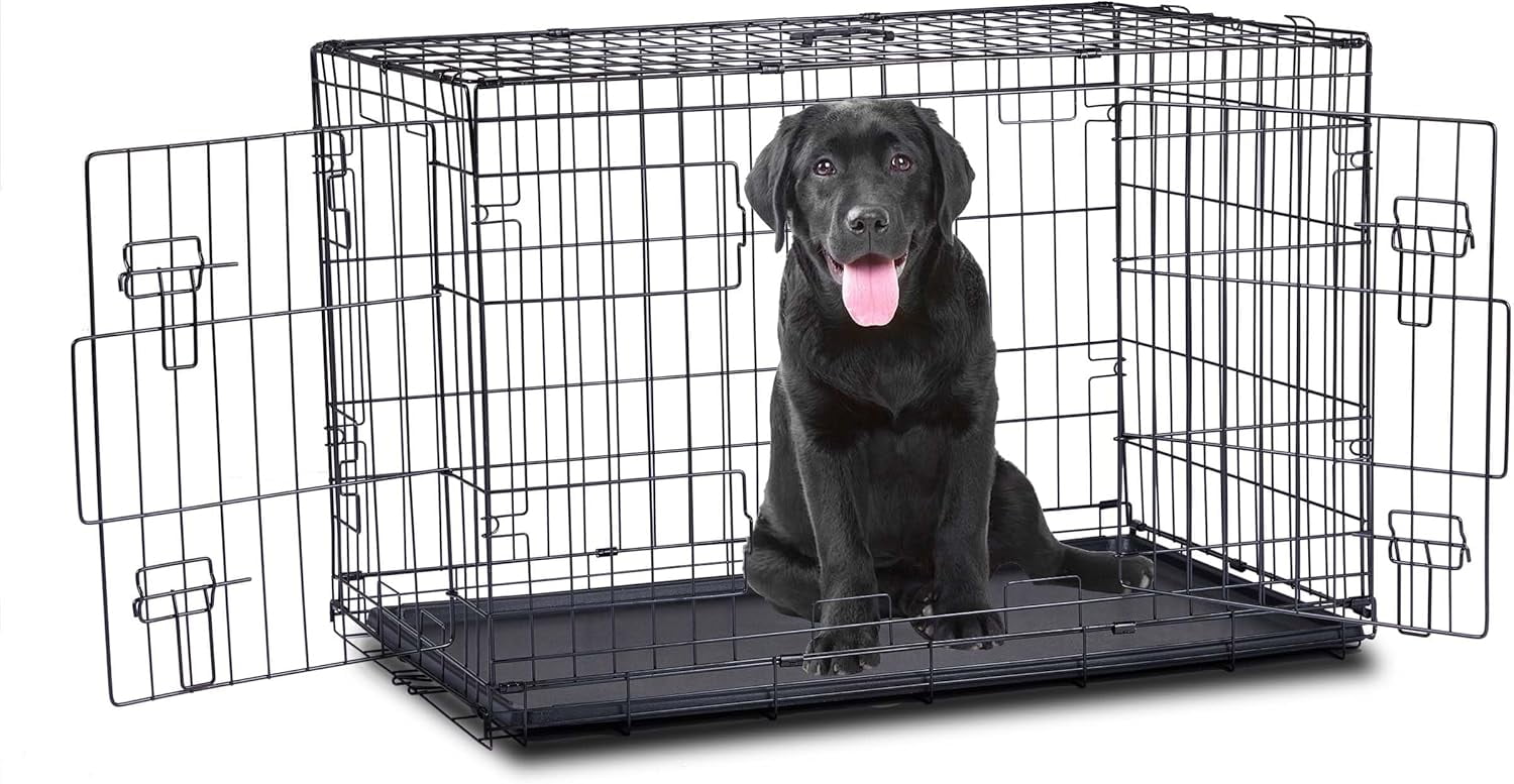 Image showcasing ZeloraGildan Large Dog Crate, 48 Inch Dog Cage, Double Door Metal ...