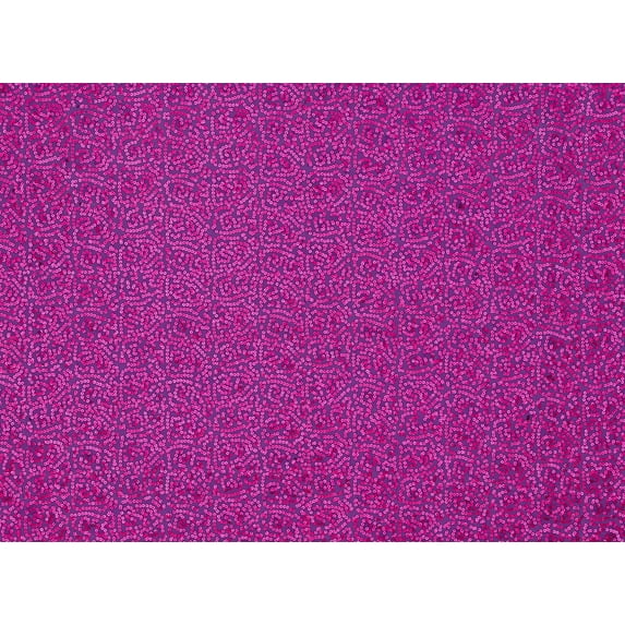 Zelouf All Over Sequins On Single Span , Sewing, DIY, Crafts Fabric by the Yard, Plum/fuchsia Matte, 3 Yard