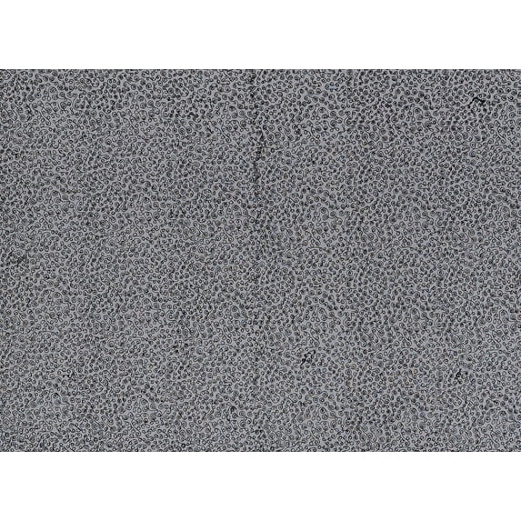 Zelouf Alluring Swirl Shiny Corded On Mesh , Sewing, DIY, Crafts Fabric by the Yard, Black, 1 Yard