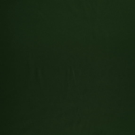 Zelouf Charmeuse Satin , Sewing, DIY, Crafts Fabric by the Yard, Mint Syrup, 20 Yard