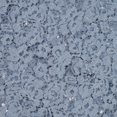 thumbnail image 1 of Zelouf Dela Floral Corded Lace W/ Sequins  , Sewing, DIY, Crafts Fabric by the Yard, , 20 Yard, 1 of 6